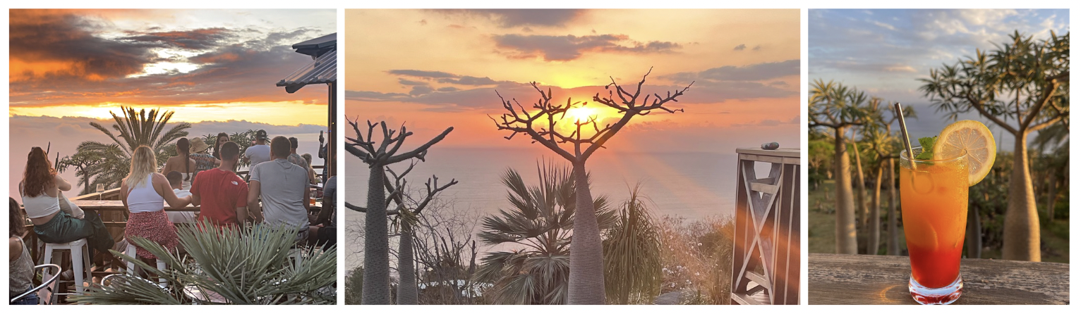 Sunset au Jardin Naturel